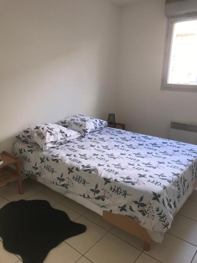 Appartement Entier T2 Avec Piscine Paradis Entierement Meuble Proche Metro 圖盧茲 外观 照片